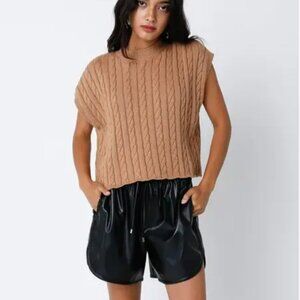 NWT Alina Sweater Vest